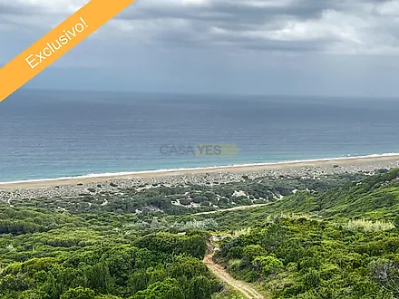 listing-FHIApoLifdi