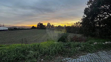 image-Gsn1db7ib6F-0