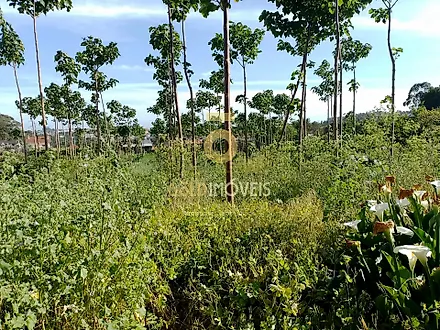 Land for sale in Santa Maria da Feira, Portugal — €160,000
