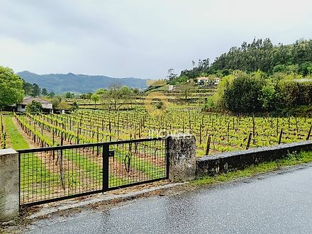 Land for sale in Amarante, Portugal — €74,000