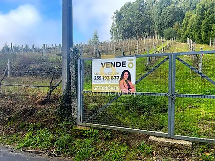 Terreno em Castelo de Paiva
