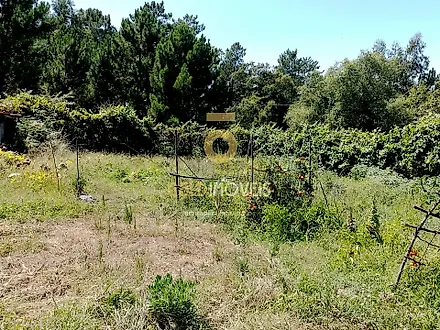 Terreno em Cinfães