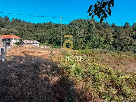 Terreno em Castro Daire