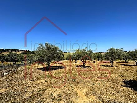 image-LKC4WsOdVOq-0