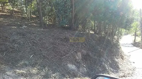 Land for sale in Paredes, Portugal — €55,000