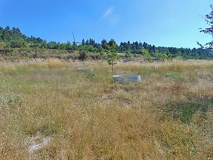 image-Fh3e50dIFej-0