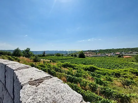 image-GsEtaUjrkfN-0