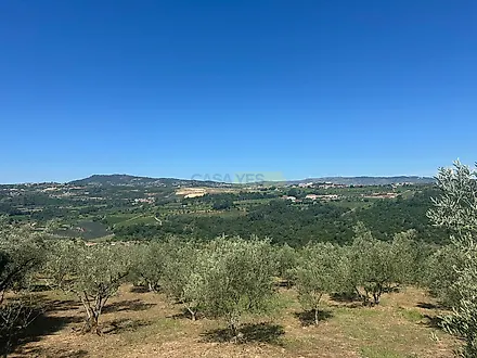 image-Klyl27ZFnzX-0