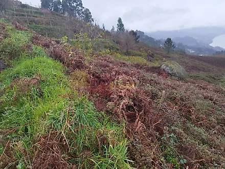 Land for sale in Vieira do Minho, Portugal — €175,000