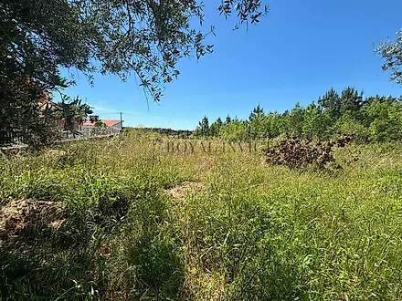 Land for sale in Anadia, Portugal — €55,000
