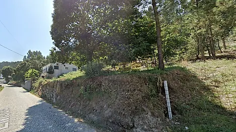 image-4w908HYjPPj-0