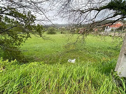 image-3UjgHU2O5YT-0