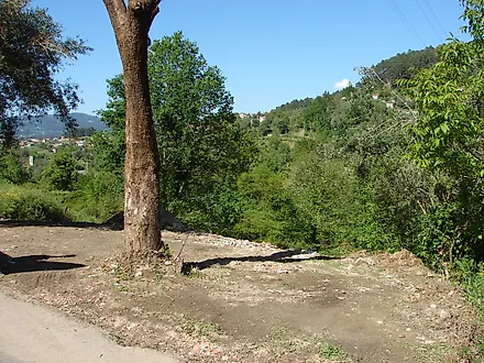 image-7Djvz3YpXdr-0