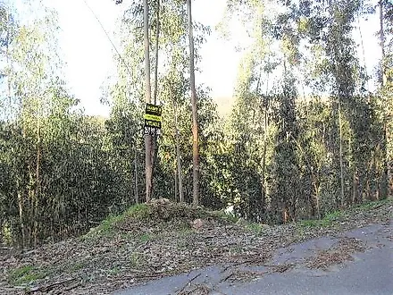 image-FzVYGHDPOsL-0