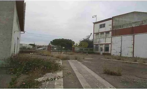 image-36WrMobVoN8-0
