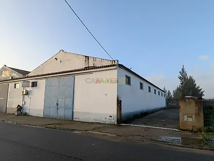 image-IZJGykGvk5z-0