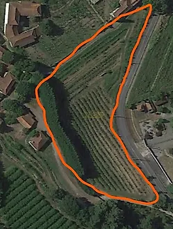 image-L5iap6FBpdQ-0