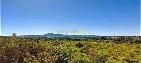 image-AidZYgF81NQ-0
