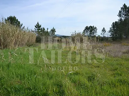 Land for sale in Anadia, Portugal — €55,000