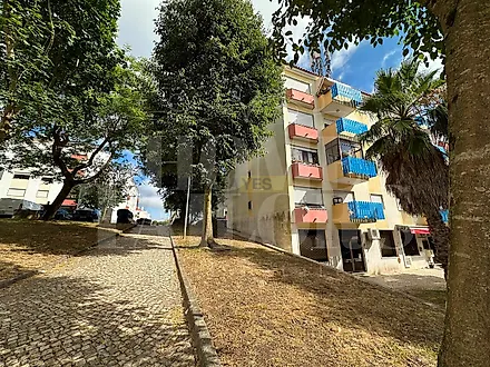 image-Et50LoOwx85-0