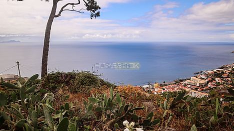 Land for sale in Armamar, Portugal — €150,000