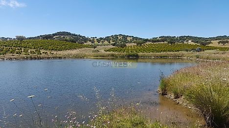 Land for sale in Alandroal, Portugal — €290,000