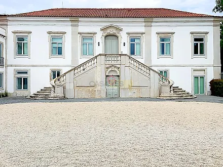 image-8BJzQAsprgR-0