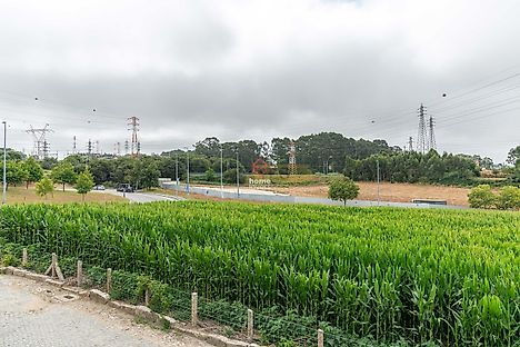 image-D9heB2HtG8h-0