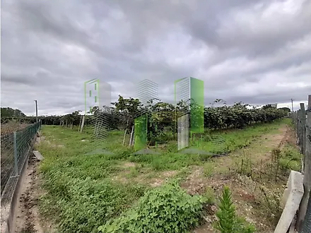 Terreno em Vagos