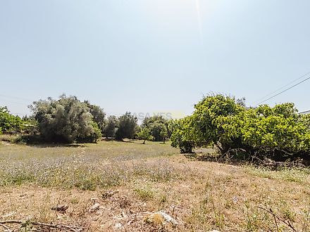 Land for sale in Cantanhede, Portugal — €95,000