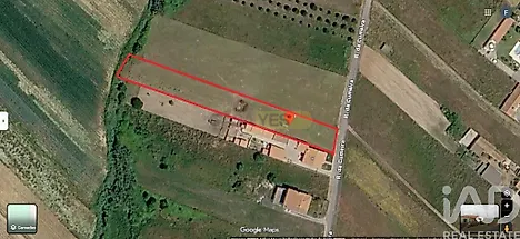 image-1I3ege7XRua-0