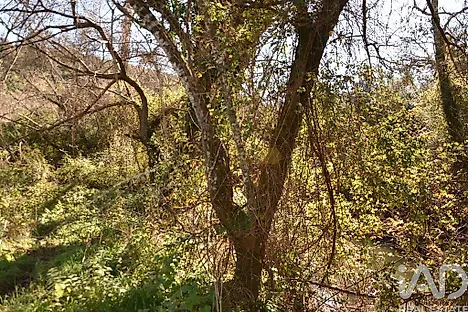 image-5XNJHtC8BPr-0