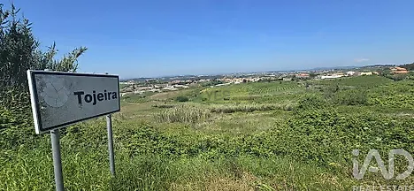 image-6hs4g8XGox5-0