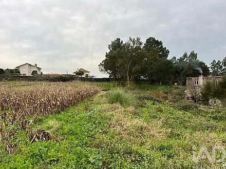 image-8xxCfWXQEJb-0