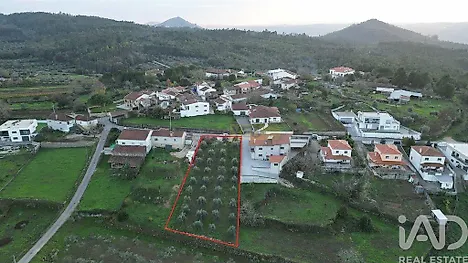 image-97LrGaNOgpj-0
