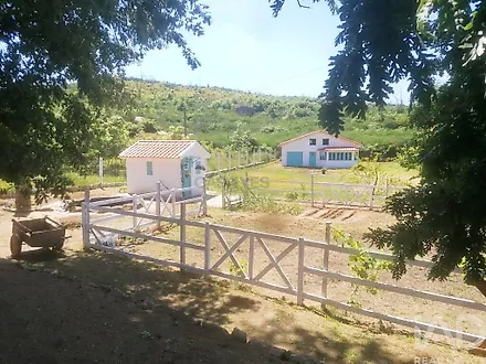 image-C9R6oP2GlbU-0