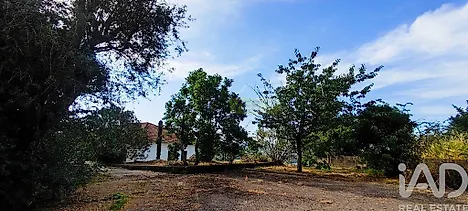 image-CIhvjulKKIm-0