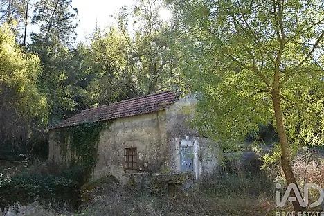image-CmWBVOcLztR-0