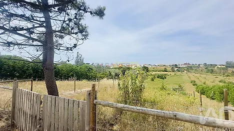 image-DOuZjvgSqLw-0
