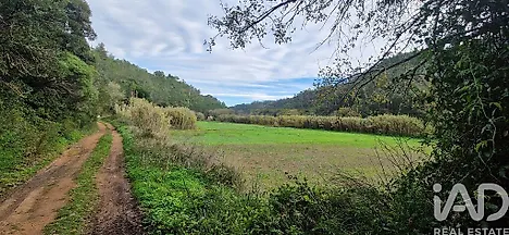 image-EauzdtaIj6c-0