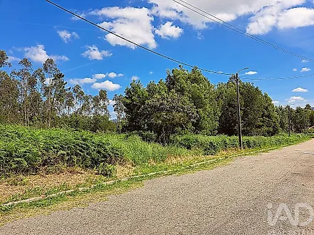 image-Fh13mfGrOJs-0