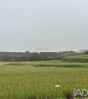 image-GEFd5wzPf5z-0