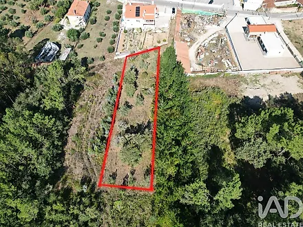 image-GIudYn3oI2U-0