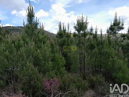 image-GX2B2sOFcGI-0