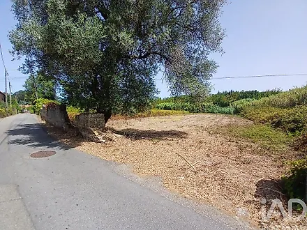 image-GgE5JsXPvoo-0