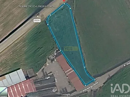 image-GsnkSSu411D-0