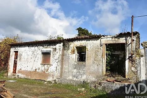 image-HOvBKzXLtLX-0