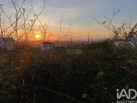 image-HT7WXfIpa4P-0