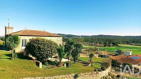 image-HoZQKq5xi8C-0