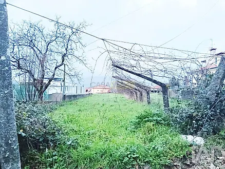 image-JTk6LRnH41-0